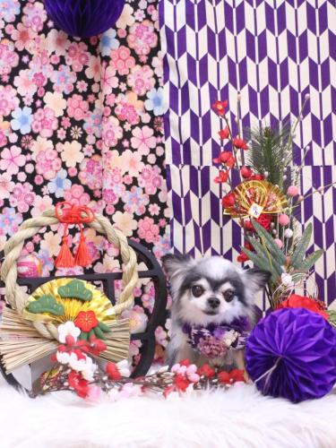 2250111クオンくん